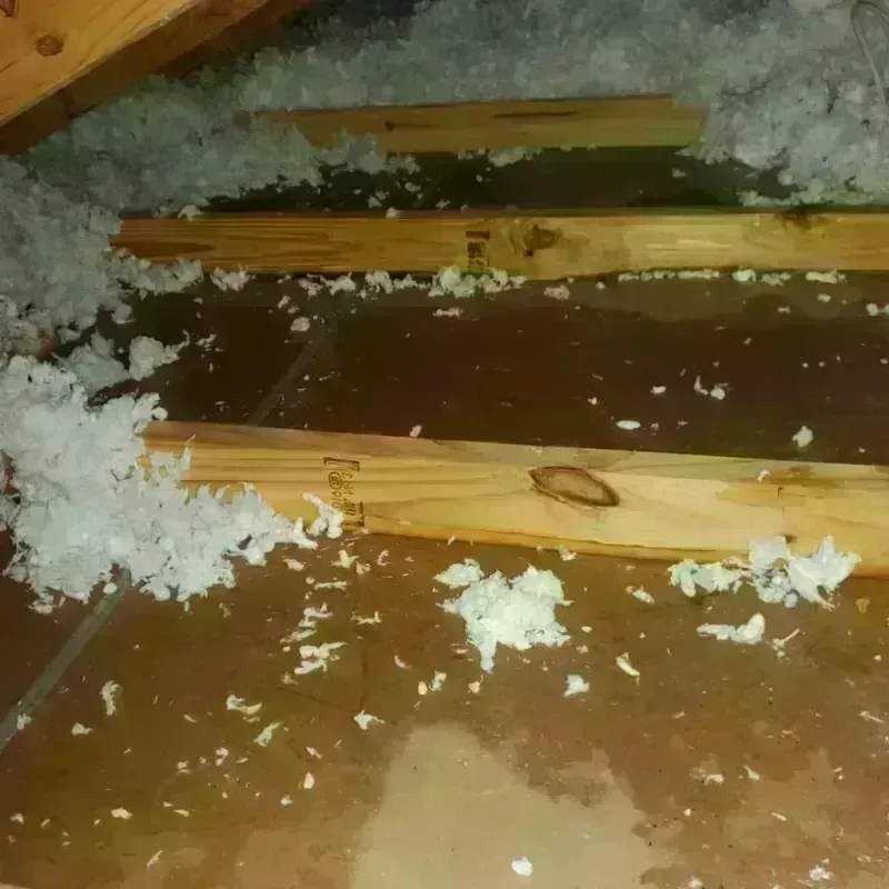 Attic Water Damage in Wolverine Lake, MI