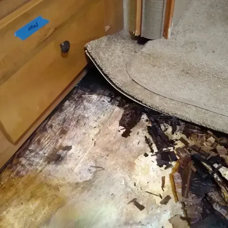 Wood Floor Water Damage in Wolverine Lake, MI